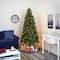 7.5ft. Pre-Lit Rocky Mountain Spruce Artificial Christmas Tree with Pinecones, Clear LED Lights